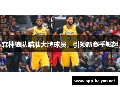 森林狼队瞄准大牌球员，引领新赛季崛起